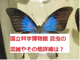 上野 国立科学博物館の特別展 昆虫 昆虫しようぜ の感想