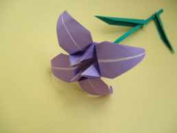 折り紙であやめの折り方 立体の茎と葉っぱも作ってみよう ママと子供のｈａｐｐｙ ｌｉｆｅ