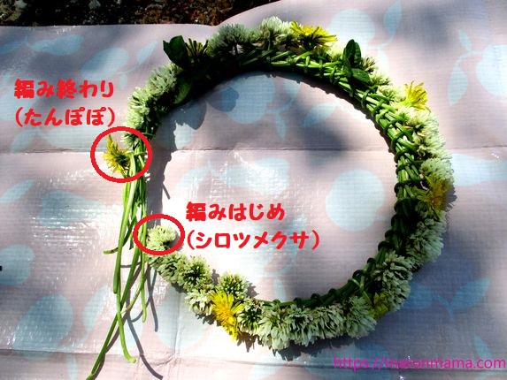 シロツメクサの花冠の作り方 簡単なコツや最後の止め方を紹介